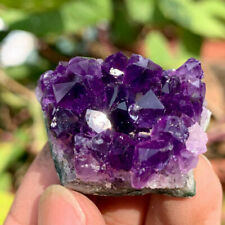 60-80g Natural Brazilian Amethyst Quartz Crystal Cluster Druzy Geode Gemstone picture