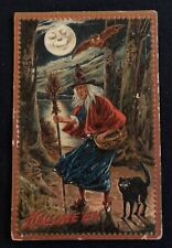 1910 Early Americana Halloween Greeting Witch Cat Embossed Color Post Card  picture