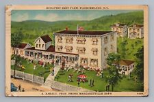 Budapest Rest Farm Fleischmanns New York Rahaly Prop Vintage Postcard picture