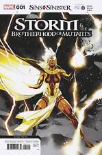 Storm and the Brotherhood of Mutants #1 2ND Printing Leinil Yu Variant picture