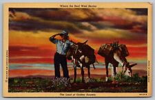 Where Real West Begins Land Golden Sunsets Donkeys Linen Postcard UNP VTG Unused picture
