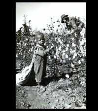 Baby  Black Cotton Picker Boy PHOTO Great Depression, Farm Worker Child Arkansas picture