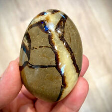 Septarian Crystal Dragon Stone Healing Crystal Yoga Meditation Mineral 30-40mm picture