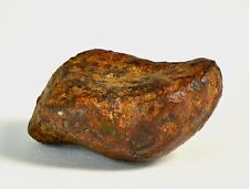 8.9g AGOUDAL Meteorite I IIAB Iron I Oriented Meteorite - TOP METEORITE picture