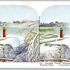 c1900s Niagara Falls, Terrapin Tower Horseshoe Goat Stereoview Lighthouse V36 picture