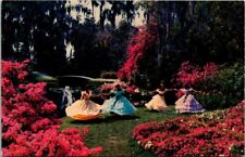 Vtg Happy Times in a Florida Garden Cypress Gardens Florida picture