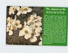 Postcard The Legend of the Dogwood picture