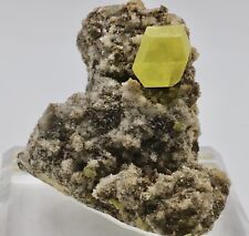 Sulfur On Crystal Matrix * Cozzidissi Mine, Sicily * With Custom Base picture