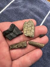 Cretaceous Period Fossil Collection Rare Hybodus Shark Fin Mosasaur And More picture