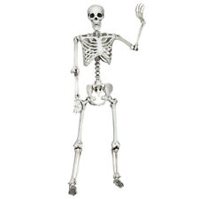 5.4ft Halloween Skeleton Life Size Realistic Full Body Hang w/ Movable Joints picture