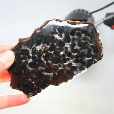 57g Beautiful SERICHO pallasite Meteorite slice - from Kenya C7437 picture