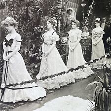 Antique 1903 Beautiful Bridesmaids At Wedding Stereoview Photo Card P3388 picture