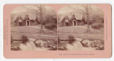 Antique 1891 Queen Victoria's Cottage, Killarney Lakes, Ireland Stereo Card P267 picture