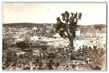 c1940's Cactus Growing Partial View of Zacatecas Mexico RPPC Photo Postcard picture