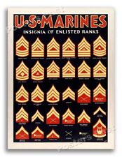 “US Marines Insignia of Enlisted Ranks” 1940's World War 2 Poster - 24x32 picture
