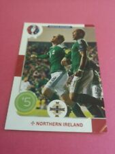 Northern Ireland Making History Foil Panini Adrenalyn Euro 2016 Foot Card #220 picture