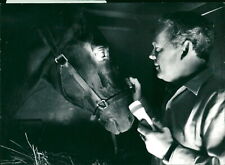 The doctor checks out the competition stallion... - Vintage Photograph 2322487 picture