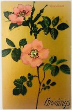Vintage Greeting Postcard Wild Pink Roses Against Gold 1908 picture