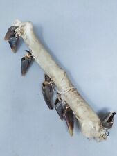 Native American Southern Plains Comanche (?) Deer Dew Claw Rattle Rawhide Wrap picture