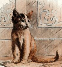 c1910 Lonely Cat, cute, antique postcard picture