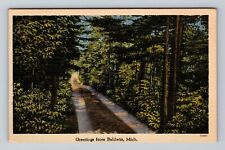 Baldwin MI-Michigan, Scenic Greetings, Roadway, Woods, Vintage c1946 Postcard picture