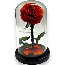 Preserved Eternity Forever Rose in Glass Dome Unique Birthday Mother's Day Gift picture