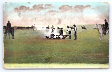 Postcard Cowboys Branding Outlaw Steer On The Range Posted Helena Montana c.1909 picture