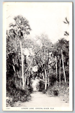 c1930s Lover's Lane Crystal River Florida Vintage Postcard picture