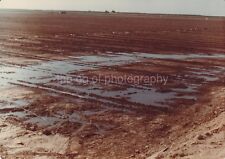 Southwest Irrigation FOUND PHOTO Color  Original ARID FARM 811 9 picture