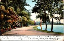 Reading PA Lily Pond City Park Trail Path c1905 UDB postcard FP3 picture