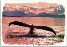 Postcard - Humpback whales tail in the Inside Passage, Alaska picture