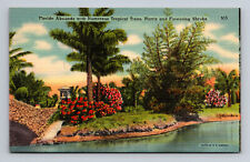 Florida Flowering Trees Plants Shrubs Linen Postcard picture