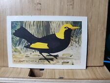 Shell Project Cards BIRDS🏆#137 REGENT BOWER-BIRD 1960's Card picture