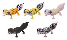 Bandai Diversity of Life on Earth Reptiles Leopard Gecko Gashapon Figure set picture