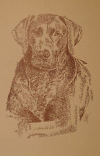 CHOCOLATE LABRADOR RETRIEVER DOG ART PRINT #78 by Kline LAB Dogs name added free picture