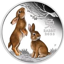 New 2023 Year of The Rabbit Australia Animal Commemorative Coins Gifts Silver  picture