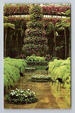 Kennett Square PA-Pennsylvania, Longwood Gardens, Antique Vintage Postcard picture