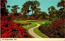 Orlando FL Florida Cypress Gardens Pretty Models Bougainvillea Vintage Postcard picture