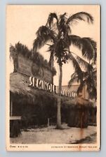 Chicago IL-Illinois, 1933 World's Fair Seminole Indian Village Vintage Postcard picture