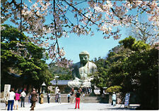 The Great Buddah of Kamakura in the Time of Cherry Bloom Japan Postcard Unposted picture