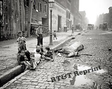 Photograph of a  Dead Horse & Kids Playing New York Year 1903  8x10 picture