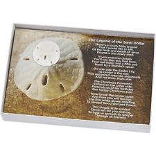 2 Legend of the Sand Dollar Boxes (2 Boxes) picture
