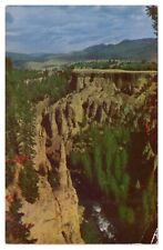 Vintage The Needle Tower Fall Yellowstone Park Postcard Unposted Chrome picture