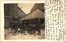 FARM COWS DAIRY real photo postcard rppc PLAINFIELD VERMONT VT picture