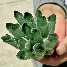 1pc new find green Quartz cluster Crystal speciman Healing random 400g+ picture
