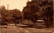 Palo Alto CA Bryant Street California c1910-1920s postcard IP3 picture