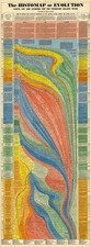ArtCantHurtU HISTOMAP EVOLUTION- Which Talks About Human Evolution From Cell picture