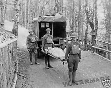 Photograph WWI (Germany) US  ARMY Ambulance Wagon Year 1918   8x10 picture