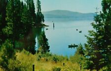 Lake Almanor California Nature Scene Boating Canoe Chrome Vintage Postcard picture