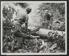 93rd Infantry Division on Bougainville combat engineers,Papau New Guinea,1944 picture